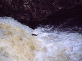 Les chutes d'eau - Photo de Ranger