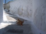 Les escaliers - Photo de Balaclava