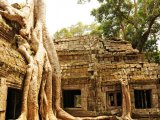 Ta Prohm, Cambodge. L'un des nombreux temples d'Angkor perdus au milieu de la jungle envahissante...