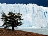 Les arbres - Photo de Yann aka yout