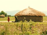 Les habitations traditionnelles - Photo de Verstichel