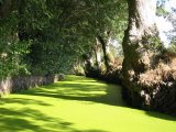 Marais Poitevin : balade sur la Venise Verte