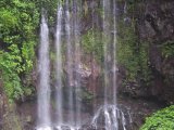 Dame Nature - Photo de Zanzibar