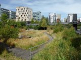 La nature en ville - Photo de Girondine