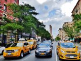 Les fameux taxis jaune New-Yorkais (juste pour participer, pas grand chose en magasin ce mois-ci)