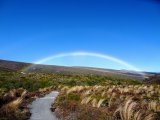 Les arcs-en-ciel - Photo de Lnetgueg