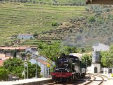 Les trains et les gares - Photo de Girondine