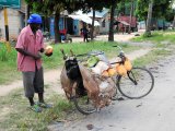 Les vendeurs de rue - Photo d'Elcanadiense