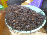 Mygales frits au Cambodge sur la route de Kratie