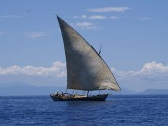 Voyage   Madagascar de 1 semaine (Octobre 2007) racont par lesrobixs