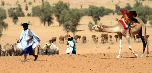 Photo de voyage en  Mauritanie