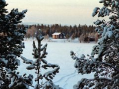 Voyage organis en  Finlande de 1 semaine (Fvrier 2002) racont par poubely