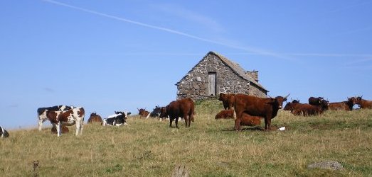 auvergne voyage