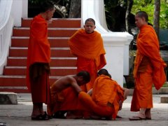 Voyage organis au  Laos de 2 semaines (Dcembre 2007) racont par icare