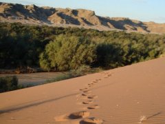 Voyage organis en  Namibie de 2 semaines (Avril 2008) racont par nicnac