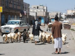 Voyage organis au  Ymen de 1 semaine (Avril 2007) racont par nicnac