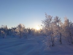 Voyage organis en  Finlande de 1 semaine (Fvrier 2013) racont par Bergeronnette40