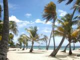 Photo de voyage en Guadeloupe